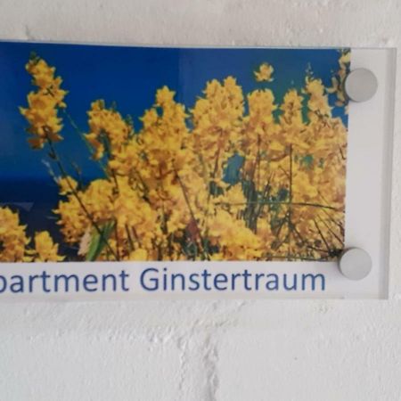 Appartement Ginstertraum リューネブルク エクステリア 写真
